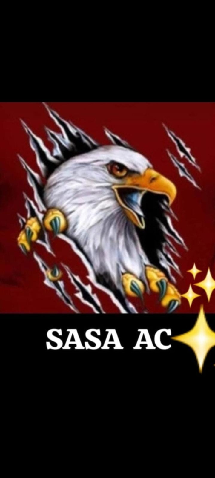Escudo del equipo